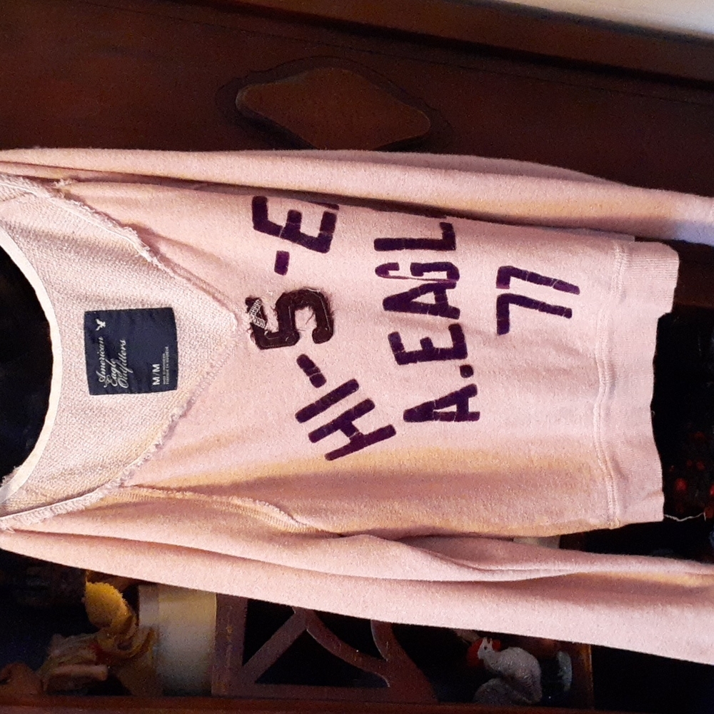 Vintage American eagle outfitters pink sweatshirt, sz M